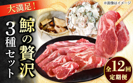 12回定期便 厳選！3種鯨定期便 [DBM020] 鯨