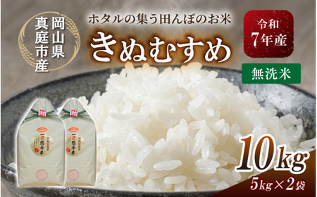 米 岡山県産精米 令和7年産きぬむすめ無洗米10kg 【tkns008-01-cho】