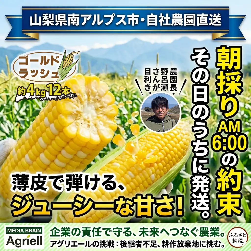 ＜2026年発送先行予約＞山梨県産 とうもろこし（ゴールドラッシュ）12本入り（約4kg）ALPES001