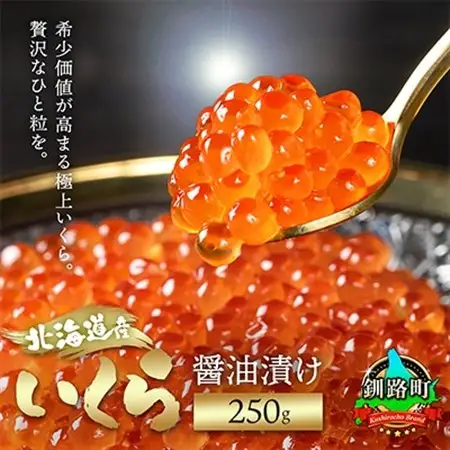 いくら醤油漬け 250g ×1個 ＜北海道産の鮭卵＞【配送不可地域：離島】【1081127】