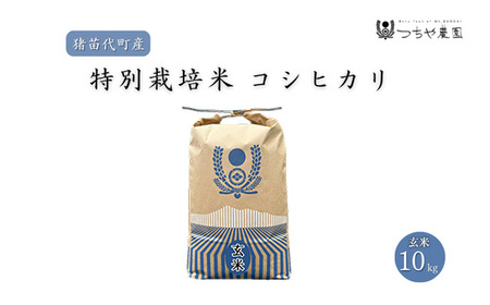 【令和7年度産】 つちや農園 猪苗代町産 玄米 特別栽培米コシヒカリ 10kg（玄米）| お米 米 こしひかり