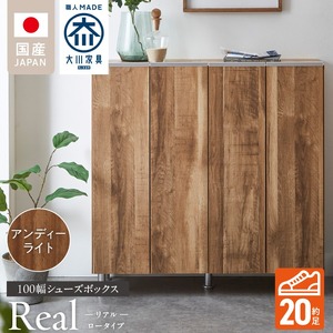 シューズボックス 【リアル 100 LO】 アンディーライト_シューズボックス リアル 100 LO 大川家具 アンディーライト 靴箱 靴 収納 可動棚 お洒落 国内製造 お取り寄せ 福岡県 久留米市 送料無料 〔Qd063-04〕