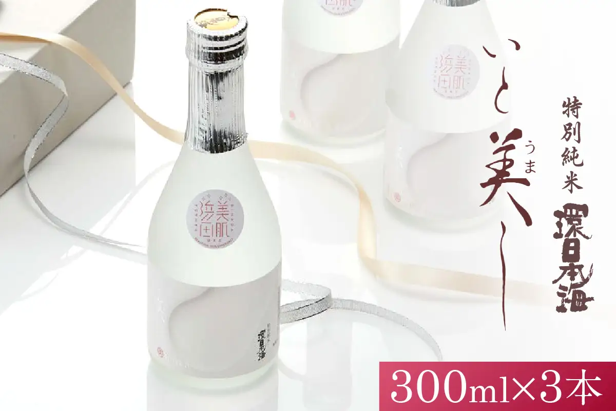 環日本海 特別純米いと美しセット 酒 日本酒 純米酒 いと美し いとうまし 【021_2062】