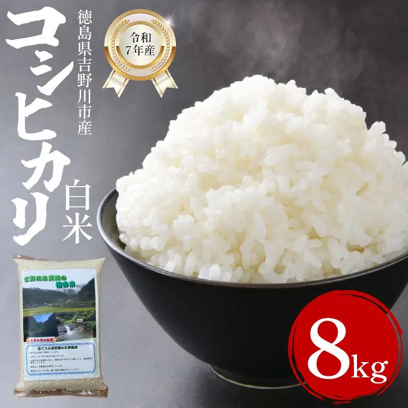 米 白米 8kg （2kg × 4袋 ）コシヒカリ 令和7年度産