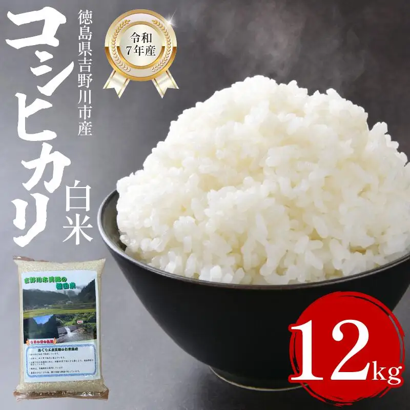 米 白米 12kg （2kg × 6袋 ）コシヒカリ 令和7年度産 米