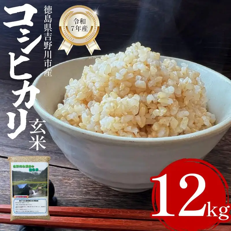 【 玄米 】 12kg （2㎏×6袋） コシヒカリ 令和7年度産 米