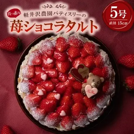 【2026年発送】真っ赤な苺ショコラタルト5号サイズ【配送不可地域：離島・北海道・沖縄県】【1615746】