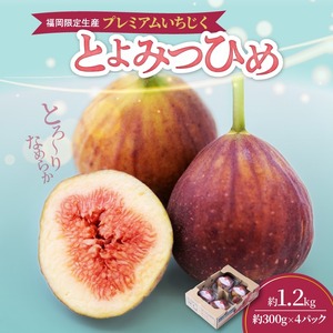 福岡県ブランドいちじく「とよみつひめ」約300g×4パック_ブランド いちじく とよみつひめ 約300g×4パック 計1.2kg 肉厚 果肉 滑らか 食感 甘く 上品な 味わい ケーキ タルト ジャム パフェ シャーベット スイーツ 食材 果物 フルーツ 果実 お取り寄せ グルメ お取り寄せグルメ 福岡県 久留米市 送料無料 〔Fx020〕