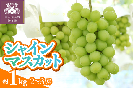 〈2026年度配送分〉甲府市産　シャインマスカット　約1.0kg（2～3房）