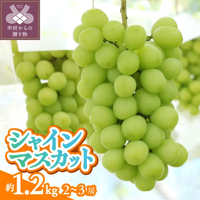 〈2026年度配送分〉甲府市産　シャインマスカット　約1.2kg（2～3房）