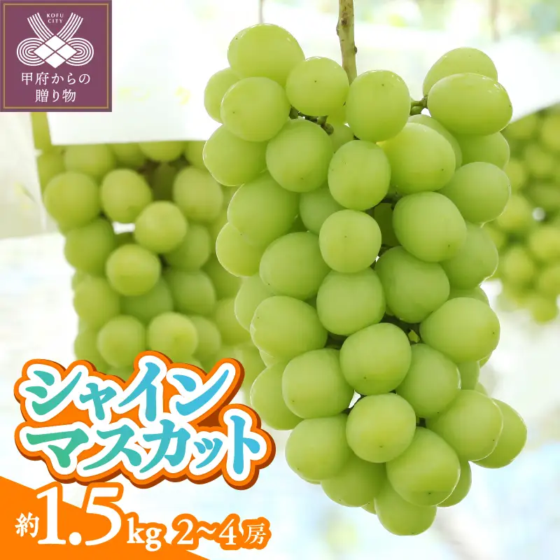 〈2026年度配送分〉甲府市産　シャインマスカット　約1.5kg（2～4房）