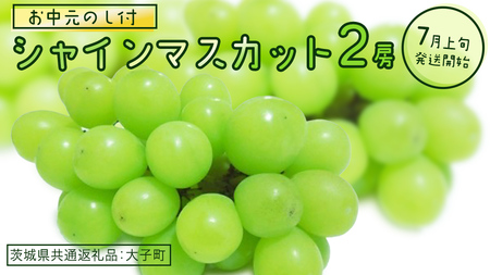 【 お中元 熨斗付き】 シャインマスカット ２房 【2026年7月上旬発送開始】(茨城県共通返礼品：大子町) 