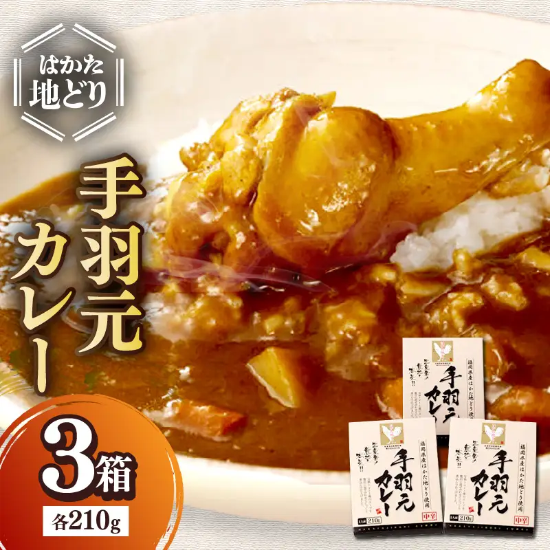 はかた地どり 手羽元カレー【A-861】