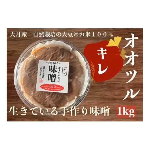 天然醸造 オオツル大豆味噌 大月産 自然栽培大豆＆米100%使用