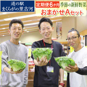 【定期便6か月】道の駅まくらがの里古河　季節の新鮮野菜おまかせAセット ※北海道・沖縄・離島への配送不可 | 野菜 詰合せ 詰め合わせ セット アソート 新鮮 道の駅 人気 ギフト 贈答 贈り物 プレゼント お中元 お歳暮 茨城県 古河市 直送 産地直送 _BQ07