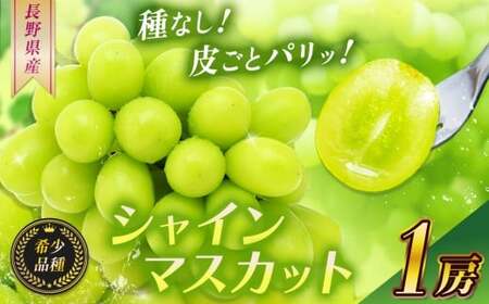 【2026年 先行予約】 シャインマスカット1房【10月上旬頃より発送予定】
