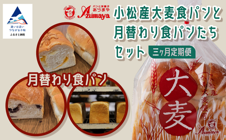 【三ヶ月定期便】小松産大麦食パンと月替わり食パンたちセット 