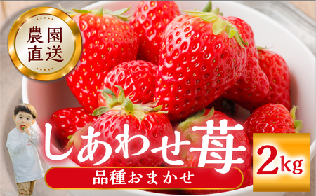 【2027年1月より発送開始】 自宅用 品種おまかせ いちご2kg (1kg × 2セット) [しあわせ苺] サイズ混在 訳あり 訳アリ 農園直送 フルーツ 果物 イチゴ 子ども 大人 人気 小分け 簡易梱包 産地直送 紅ほっぺ よつぼし かおり野 先行予約 岐阜 期間限定 [ mt1799 ] family農園watanabe