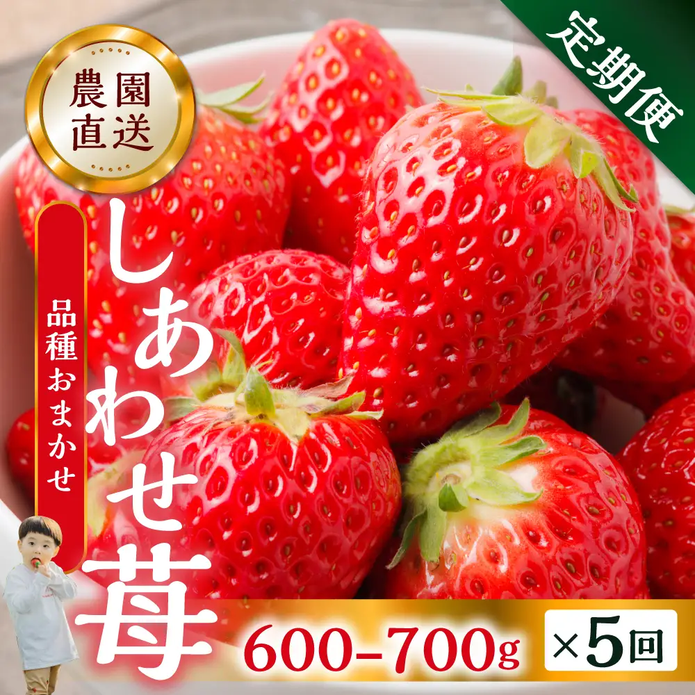【定期便5回】【2027年1月以降発送開始】自宅用 いちご 紅ほっぺ 600-700g ×5回 [しあわせ苺] サイズ バラバラ 訳あり 訳アリ 農園直送｜フルーツ スイーツ 苺 イチゴ 人気 簡易梱包 家庭用 産地直送 いちご こだわりの 甘さ 岐阜県 本巣市 先行予約 [mt1801]  family農園watanabe