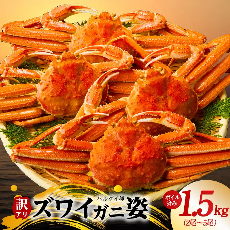 【訳あり規格】バルダイ種 ズワイガニ姿 1.5kg（2～5尾）