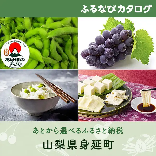 【有効期限なし！後からゆっくり特産品を選べる】山梨県身延町カタログポイント