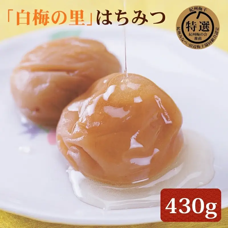 特選 紀州南高梅「白梅の里」はちみつ 430g sekifz021B【sekifz021B】