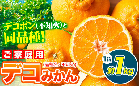 みかん デコみかん  約1kg　訳ありみかん《3-7日以内に出荷予定(土日祝除く)》