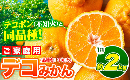 デコポンデコみかん 訳あり 約2kg前後 《4月下旬-5月末頃出荷》