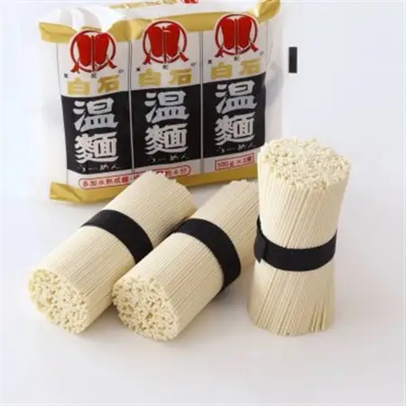 日本一短いそうめん　白石温麺　20袋入(60食分)【1616111】