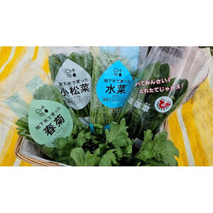 小松菜、水菜、ほうれんそう、春菊 各6束
