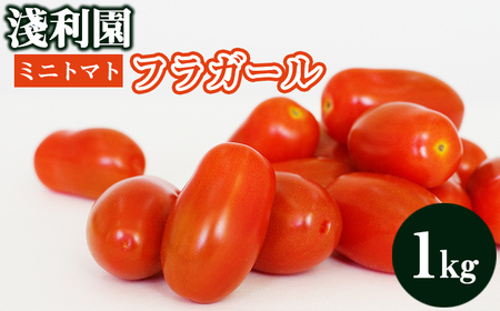 岩手県産 ミニトマト フラガール 1kg 【淺利園】／ 高糖度 トマト とまと 野菜 やさい フレッシュ 新鮮 夏野菜 旬 旬野菜 甘い 美味しい フルーツトマト 1キロ １キロ １kg 楕円 希少 稀少 期間限定 お取り寄せ グルメ 季節限定 夏 産地直送 農家直送 国産 人気 おすすめ
