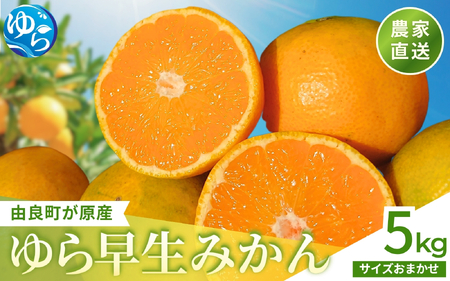 ゆら早生 みかん 5kg ※2026年10月上旬頃～10月下旬頃に順次発送予定 ※沖縄・離島配送不可【kzmn003-r-5】