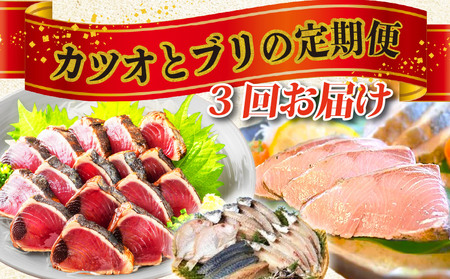 かつお 天然ぶり 藁焼きたたき定期便 ぶり［(H)1226-02］
