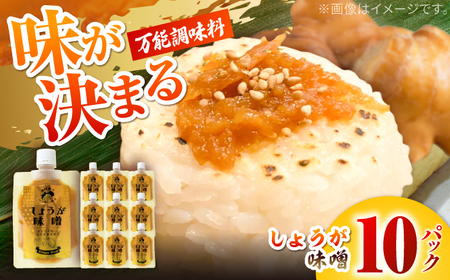 しょうが味噌　約100g×10パック【Japan Ginger 株式会社】 しょうが 国産 高知 調味料 味噌汁 みそ汁 小分け パウチ[ATFD003]