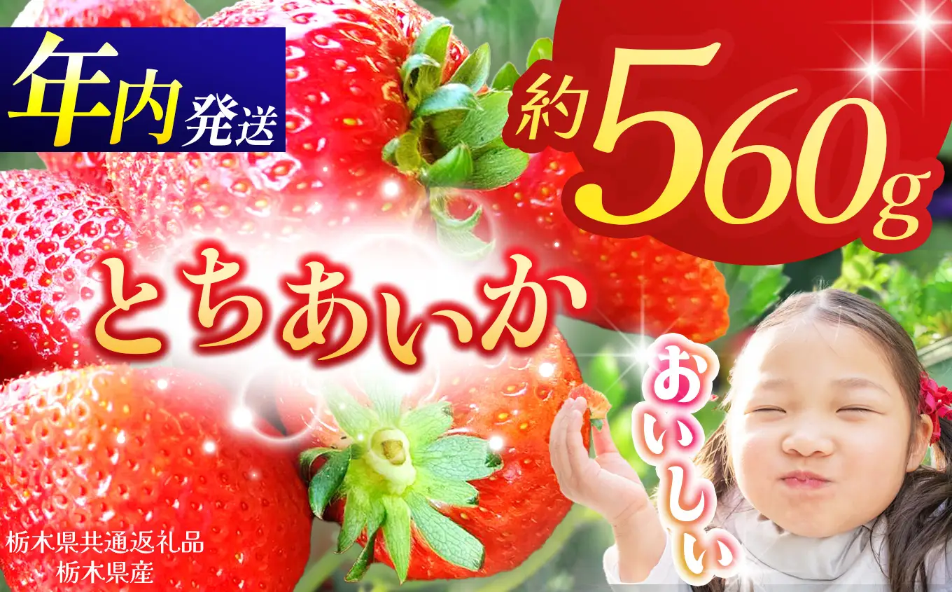 【栃木県共通返礼品】【先行予約】とちあいか 280g×2P| 年内発送 果物 くだもの フルーツ 野菜 やさい ヤサイ 苺 イチゴ いちご とちあいか 新鮮 甘い 数量 限定 美味しい 果物 共通返礼品 フルーツ デザート 栃木県 那珂川町 送料無料