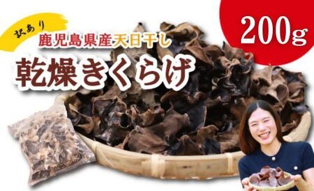 ＼"訳アリ”／鹿児島県産天日干し乾燥きくらげ 合計200g 国産 訳あり 訳アリ 業務用 乾燥きくらげ 野菜 きのこ 健康 食物繊維 低カロリー エムズ わか農園 サラダ みそ汁 スープ 炒め物 煮物 和え物 鹿児島 AS-0145