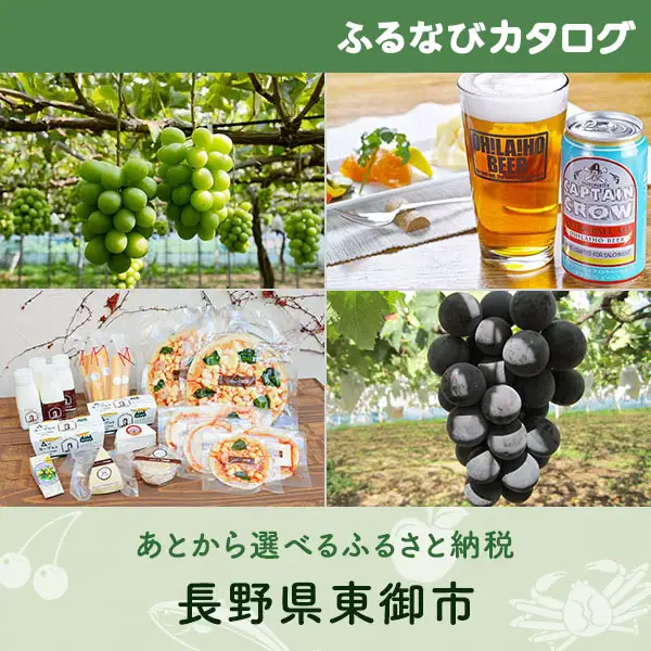 【有効期限なし！後からゆっくり特産品を選べる】長野県東御市カタログポイント