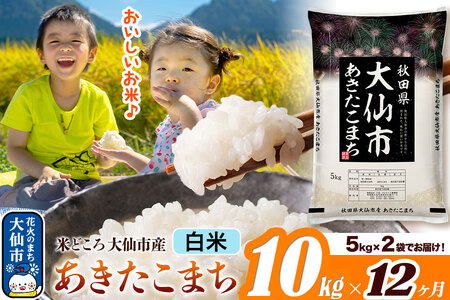 米《定期便12ヶ月》あきたこまち【白米】 米どころ秋田県大仙市産 令和7年産 精米 10kg（5kg×2袋）