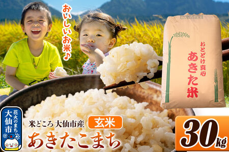 米 令和7年産【玄米】米どころ秋田県大仙市産 あきたこまち 30kg（30kg×1袋）