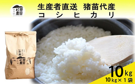 【令和7年度産】 米 コシヒカリ 10kg(10kg×1袋) 白米 精米 ※沖縄・離島への配送不可