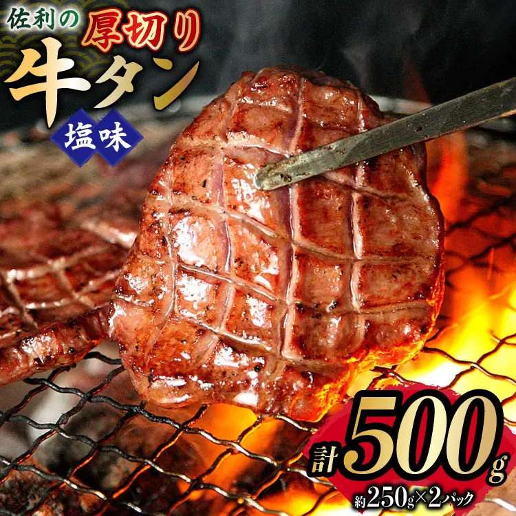 牛タン 厚切 塩味 約250g×2P 計500g [佐利 宮城県 南三陸町 m304amh580028]