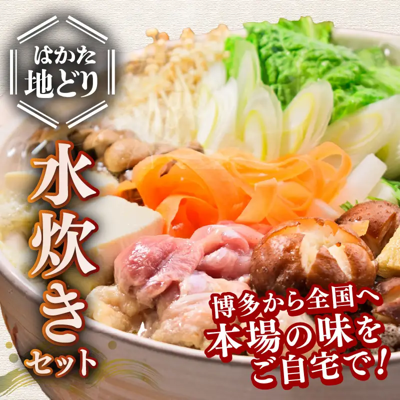 はかた地どり 水炊きセット(2～3人)【Z9-025】
