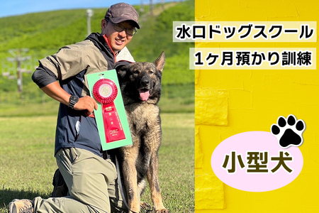 水口ドッグスクール 1ヶ月預かり訓練 (小型犬) [0507]