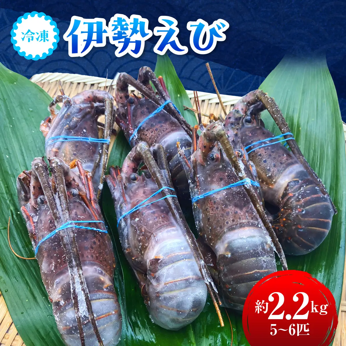 G108 冷凍伊勢えび2.2㎏（300～500g×5匹～6匹入）　ONJA018