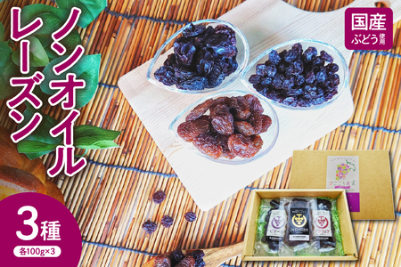 米沢市産 常温乾燥 ノンオイル レーズン 3種 セット (シャインマスカット・ピオーネ・デラウェア) 各 100g × 3種類 ドライレーズン ドライフルーツ 干し ぶどう 国産 おつまみ おやつ 送料無料 山形県 米沢市