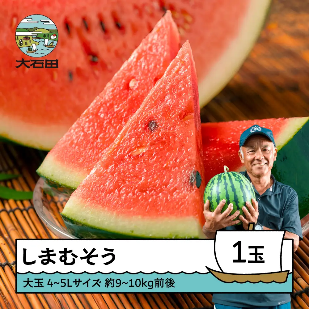 大玉すいか 4~5L×1玉 令和8年産 山形県産 gt-susmx4