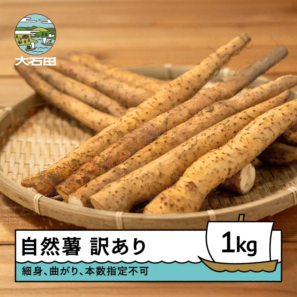 雪国育ちの自然薯 ご家庭用 約1kg 訳あり oz-ziwxx1000