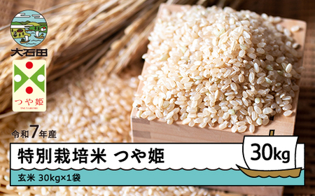 令和7年産 つや姫 玄米 【5月下旬発送】ks-tsgxa30