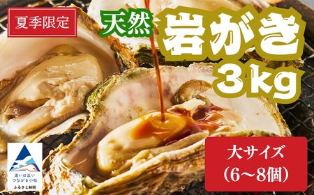 天然岩がき 大サイズ（6～8個） 3Kg 夏季限定！ 安宅産 かき 牡蠣 かき 牡蠣