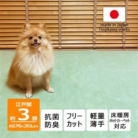 カーペット 日本製 抗菌防臭 犬 猫 ペット ビオラ 176×261cm 江戸間 3畳 グリーン【1640011】